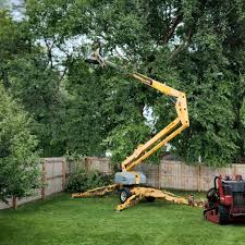 Best Mulching Services  in Toast, NC